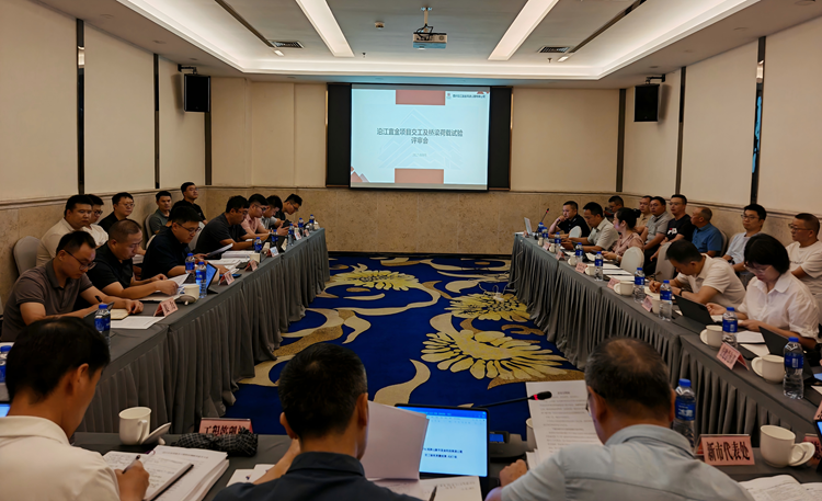 沿江宜金公司组织召开交工检测频率提升暨桥梁成桥荷载试验方案评审会