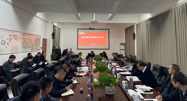 蜀道集团副总经理蒋永林一行赴沿江宜金公司调研督导项目建设推进情况